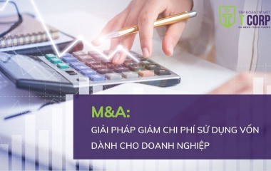 M&A: GIẢI PHÁP GIẢM CHI PHÍ SỬ DỤNG VỐN DÀNH CHO DOANH NGHIỆP